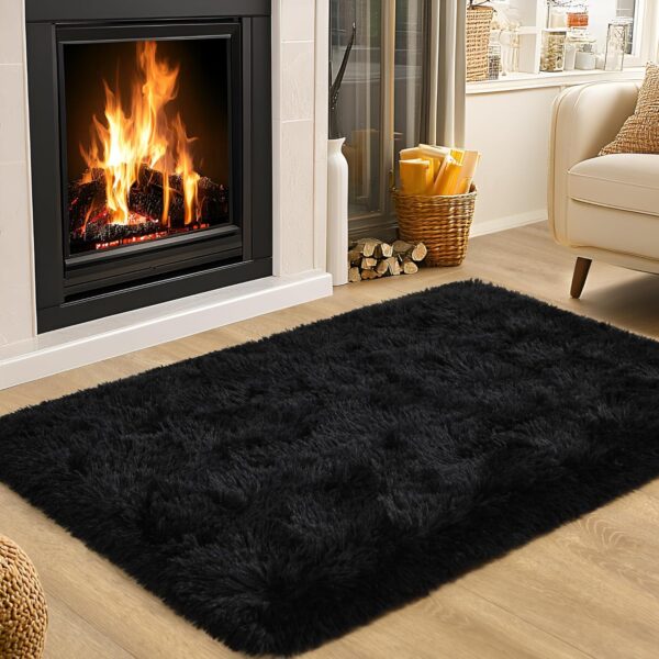 Washable, Non-Slip Area Rug, Small Fluffy Area Rugs gy Living Room Rug Soft Fuzzy  Carpet Bedside Rug Floor Mat for Nursery Bedroom Home Bedroom Aesthetic, 2x3 Feet,Black